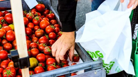 Some Basic Food Shopping Guidelines - Choosing Vegetables - Foundry Personal Training Gym