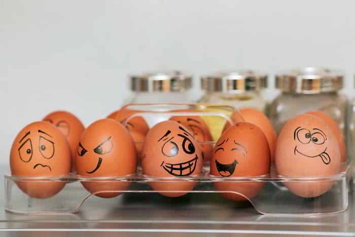 Are Too Many Eggs Bad For You? - W10 Personal Training Gym